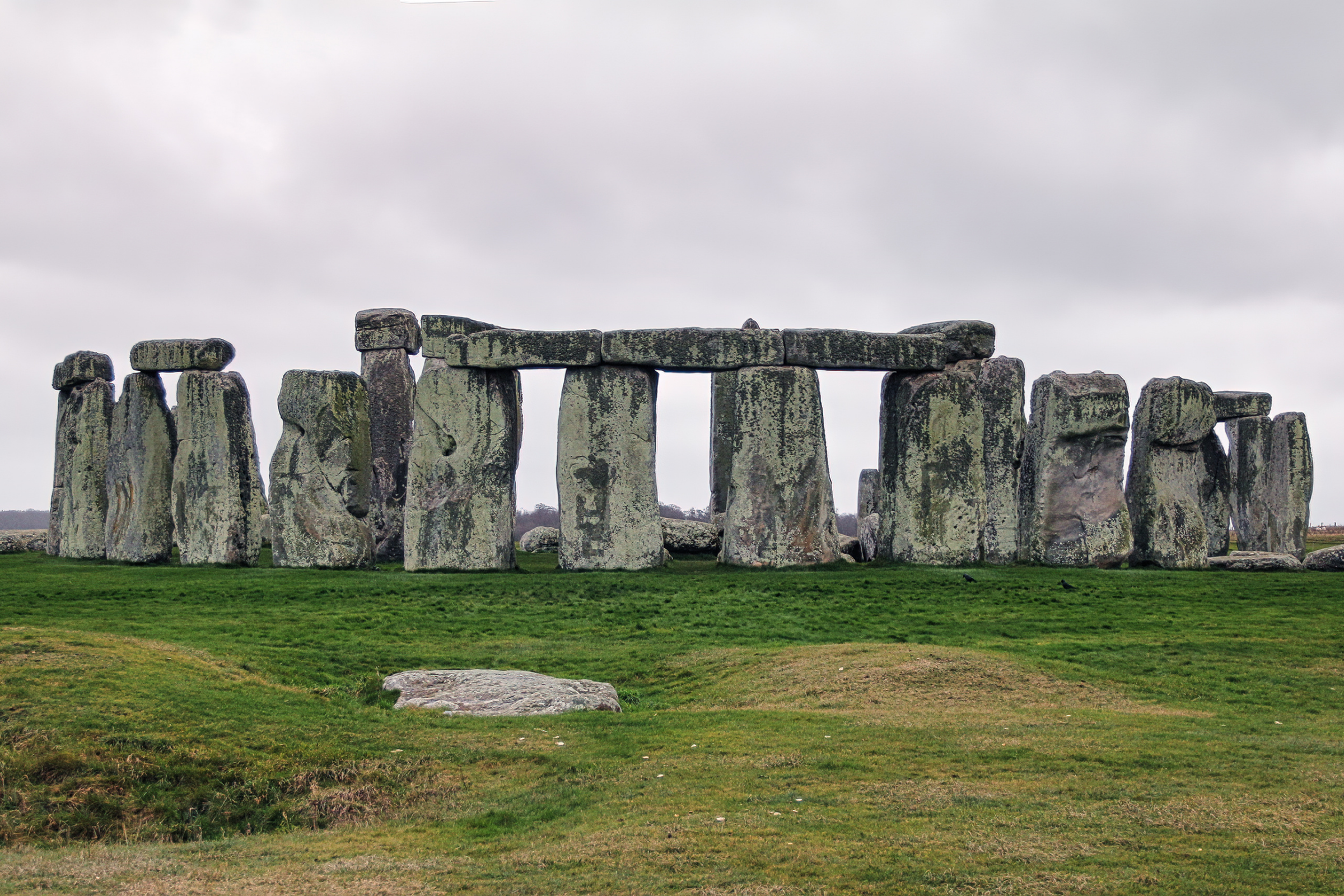 salisbury plain.webp